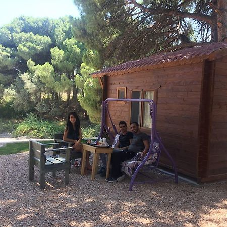 Morkoyun Bungalov Kamp Mordogan 외부 사진