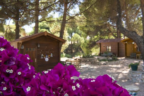 Morkoyun Bungalov Kamp Mordogan 외부 사진